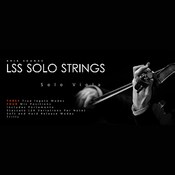 Aria Sounds LSS Solo Strings – Solo Viola