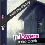 Motionvfx mlowers retro pack
