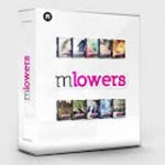 Mlowers full bundle 50 profressional lower thirds for fcpx and motion 5