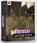 Motionvfx mlowers grunge pack