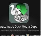 Automatic duck media copy icon