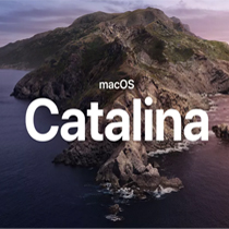 Office Suite For Macos Catalina 10.15.3 Torrent