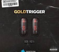 Digikitz Gold Trigger