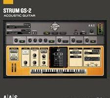 Applied Acoustics Systems STRUM GS