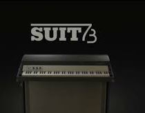 Sampleson Suit73