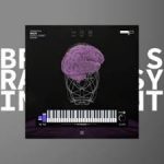 Thenatan Brain Intelligent Synth