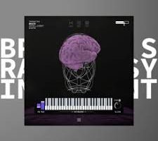 Thenatan Brain Intelligent Synth