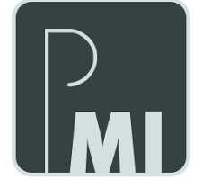 Picture Instruments Mask Integrator