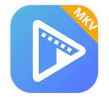 AVAide MKV Converter for Mac