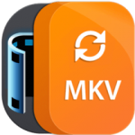 Aiseesoft MKV Converter