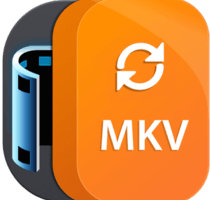 Aiseesoft MKV Converter