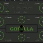 Aurora DSP Gorilla