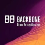Steinberg Backbone
