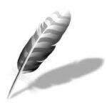 Wing Pro