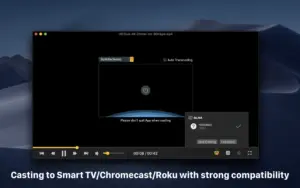 OmniPlayer 2.1.22 plays MKV and dozens of video