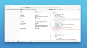Proxyman 6.11.0 captures and inspects HTTP/HTTPS