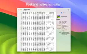 HextEdit 1.0.7 for Mac — Native Hex Editor