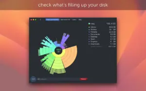 DaisyDisk 4.34 — Disk Space Analyzer for Mac